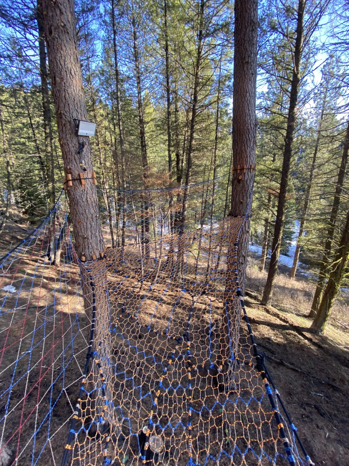 Cascade Idaho A-frame cabin rental